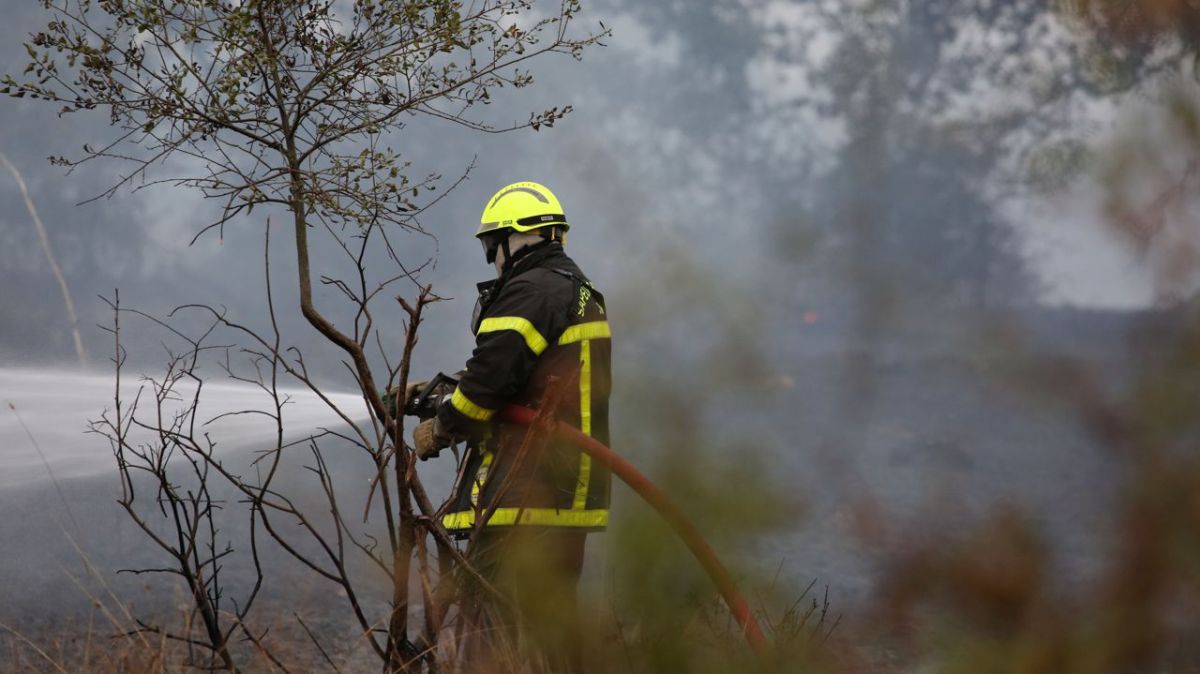 Incendie à Saint-Août : près de 60 pompiers mobilisés pour maîtriser un feu dévastateur