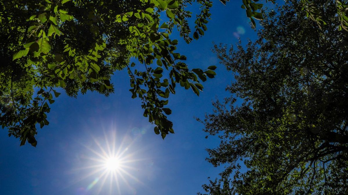 Canicule : 54 départements en alerte rouge, report du bac à Orléans-Tours