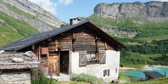 Créer un jardin épanoui en climat froid : nos conseils