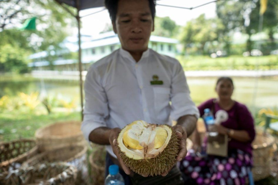 La folie du durian : une récolte record fait exploser les ventes en Malaisie