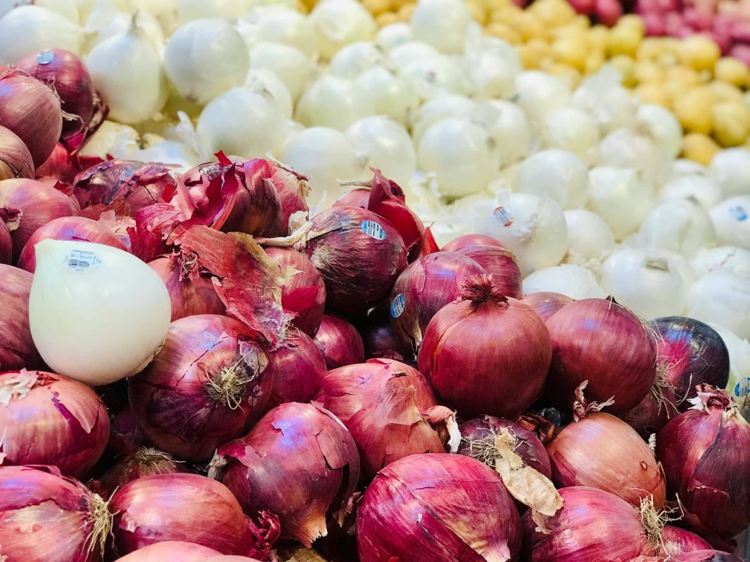 Découvrez les secrets pour cultiver ces variétés d'oignons dans votre jardin