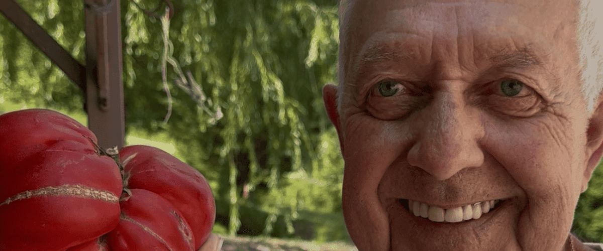 Gérard, retraité jardinier : le secret des tomates géantes dans le Lot-et-Garonne