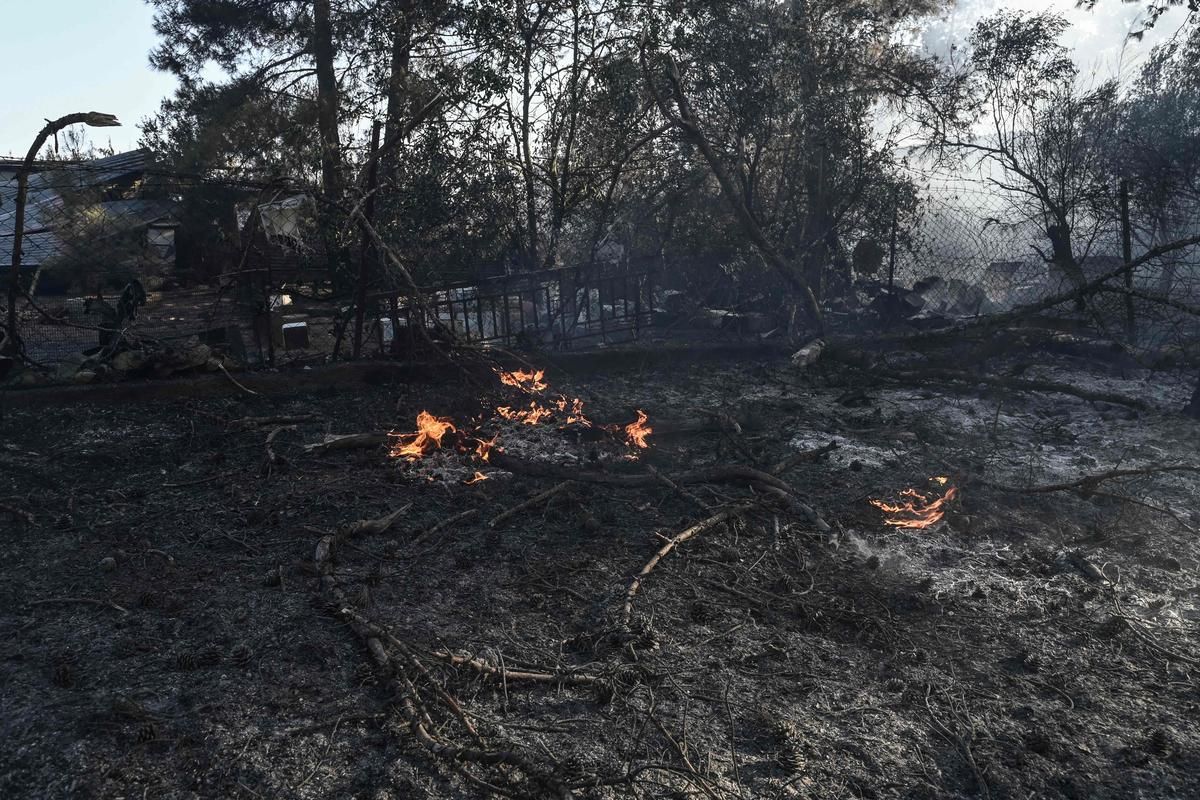 Tragédie en Grèce : un incendie de forêt fait deux victimes près de Thessalonique