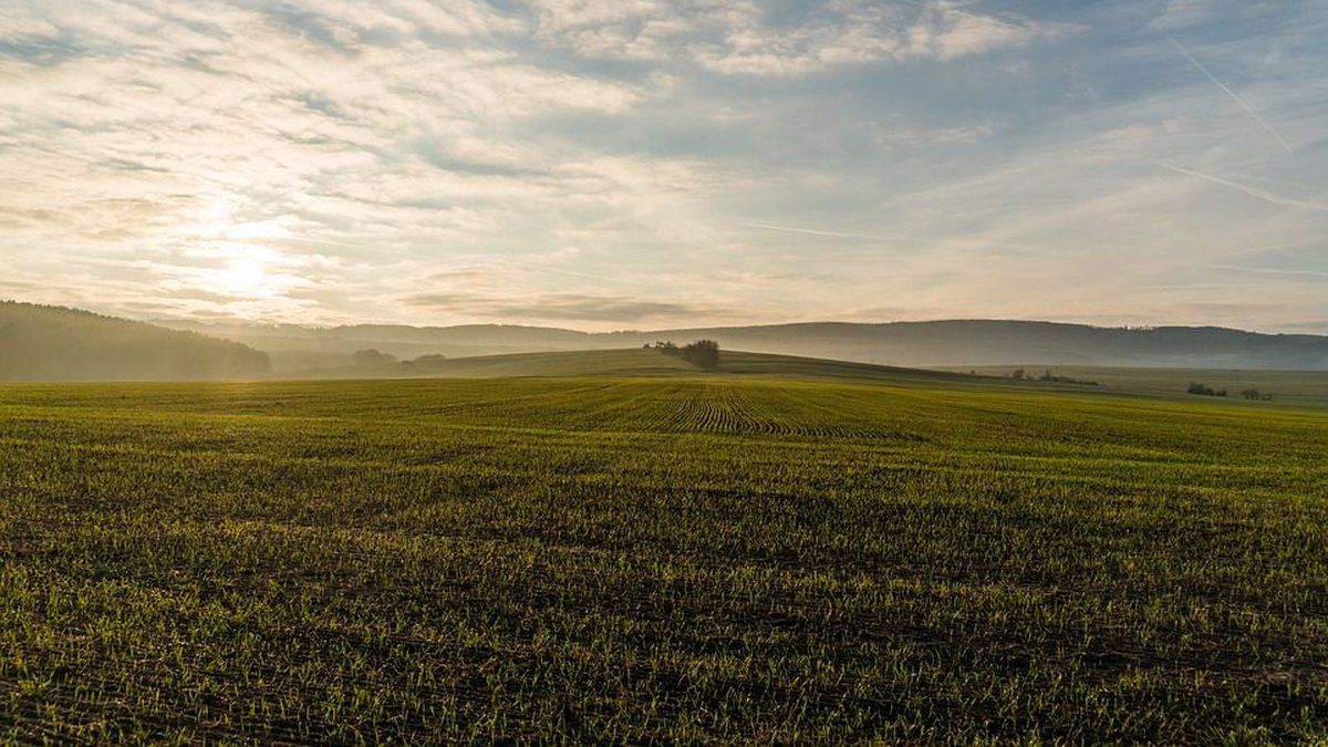 Le labour, une pratique agricole à repenser ?