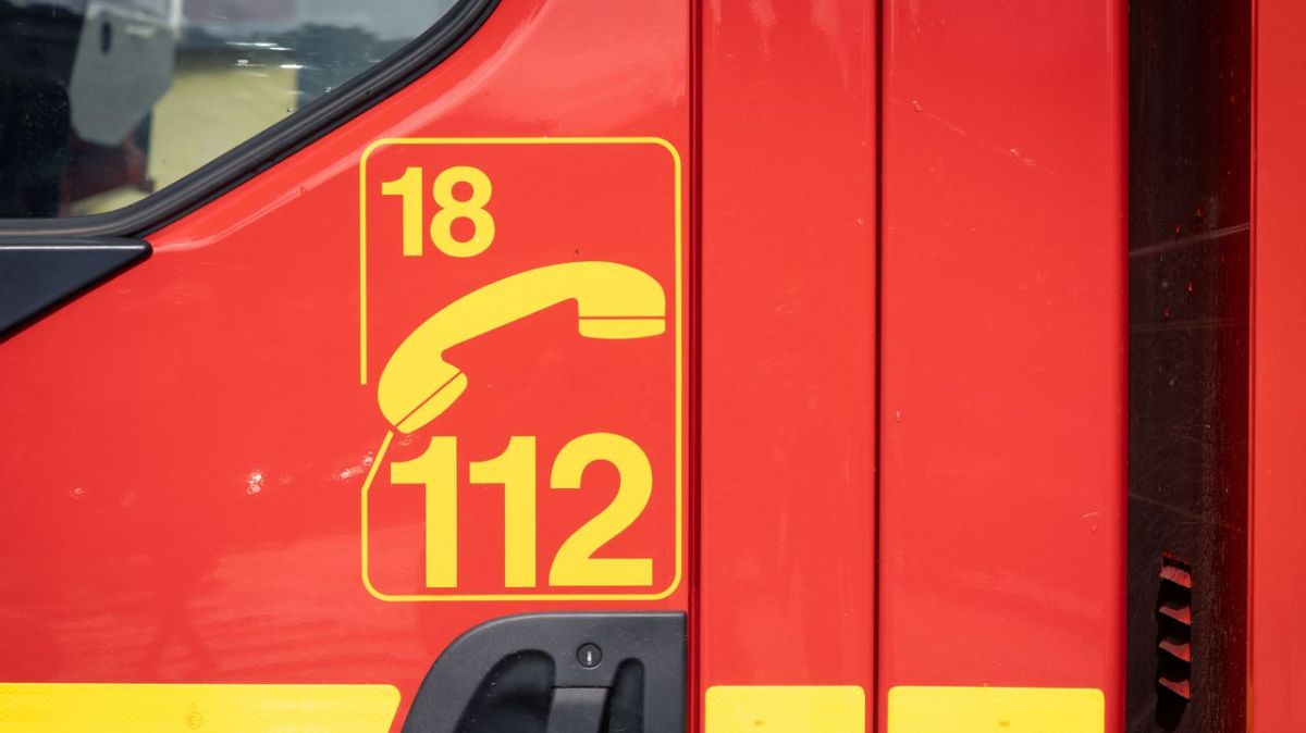 Un incendie ravage plus de 1.000 m² de sous-bois près de Romorantin
