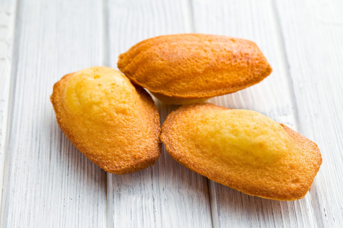 Les secrets d'une madeleine à la bosse parfaite