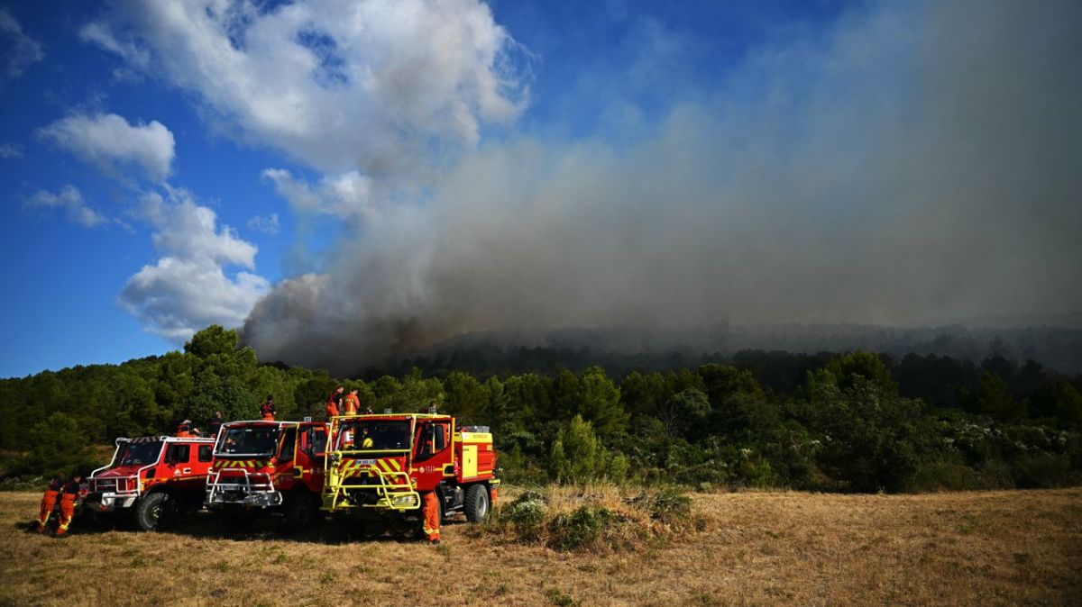Incendies : un été marqué par des feux de forêt précoces dans le Sud de la France