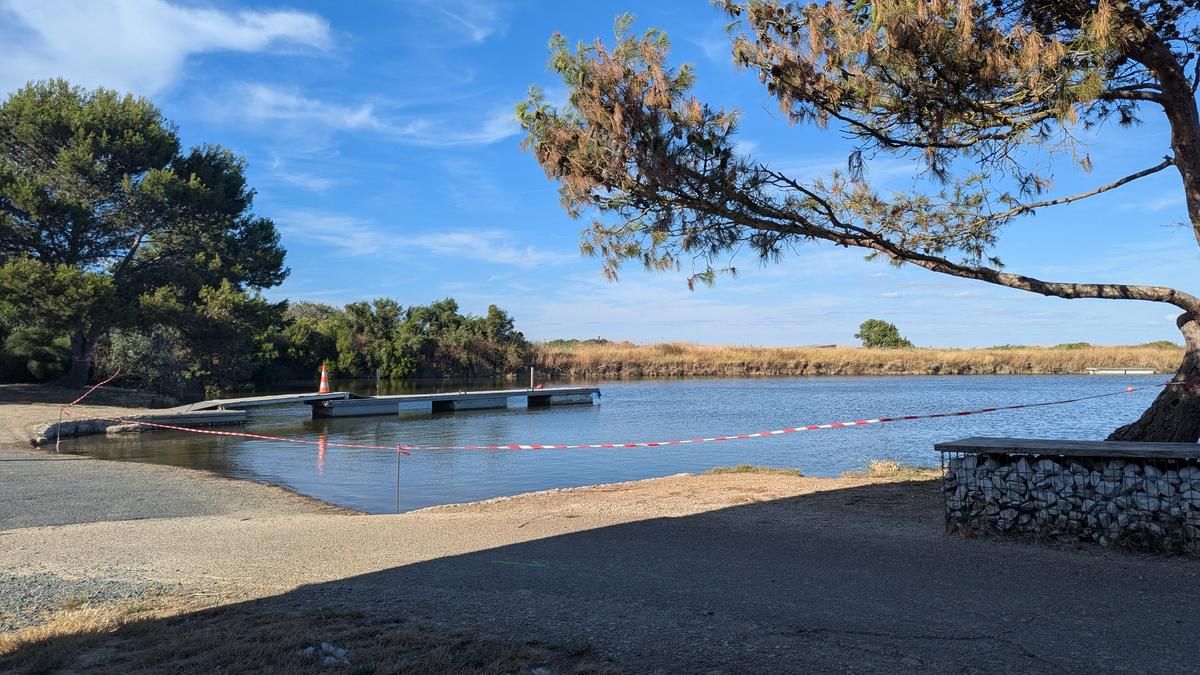 Fermeture du plan d'eau à Angoulins : conséquences d'une prolifération de cyanobactéries