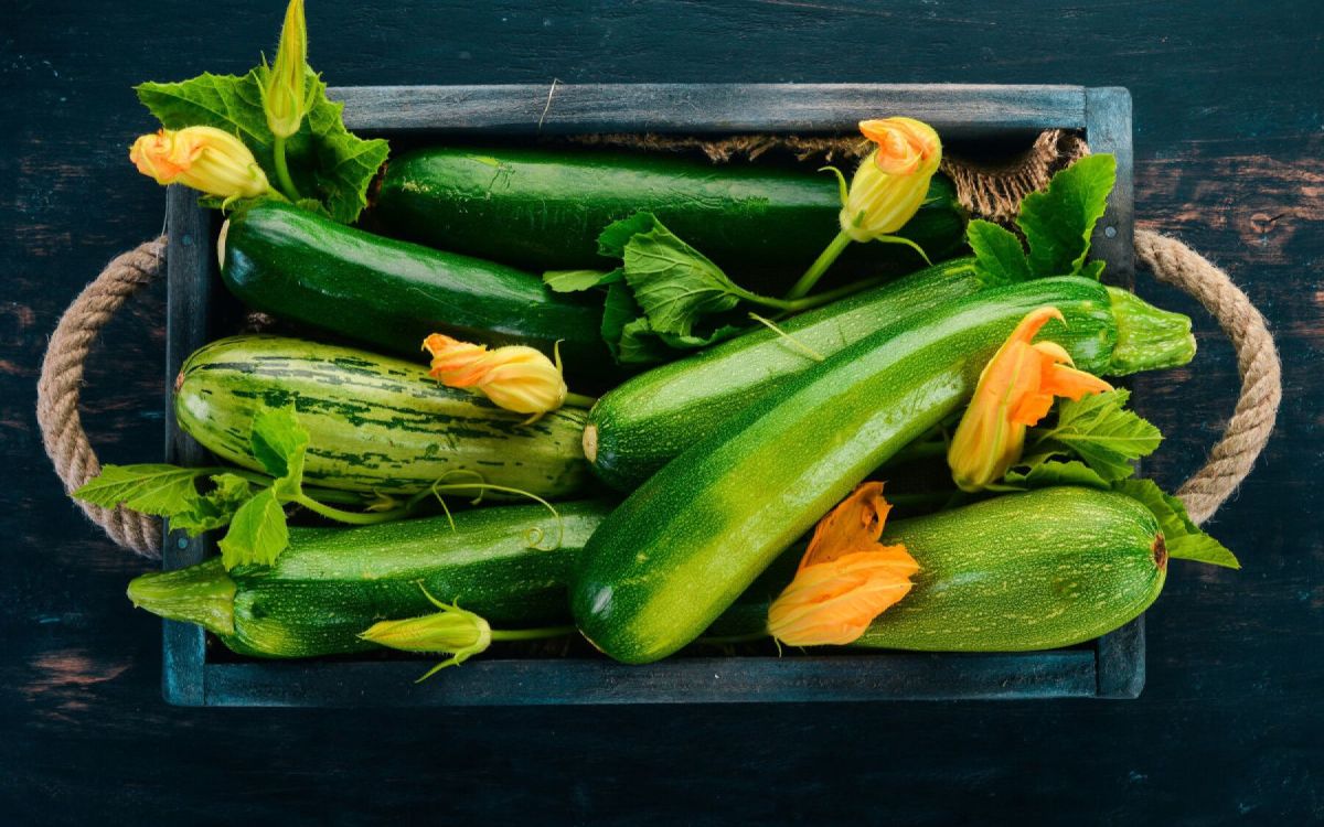 Les secrets pour réussir le semis de courgettes au jardin