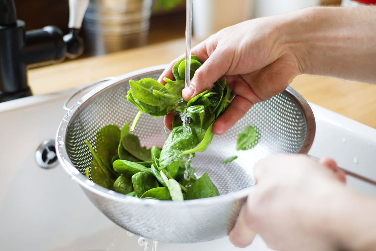 Astuces infaillibles pour garder vos salades toujours fraîches