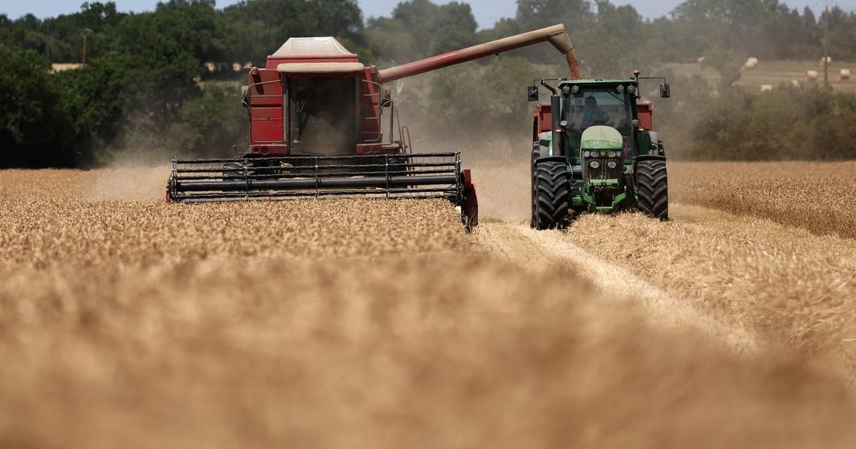 sous le feu des flammes, l'agriculture française face à la canicule
