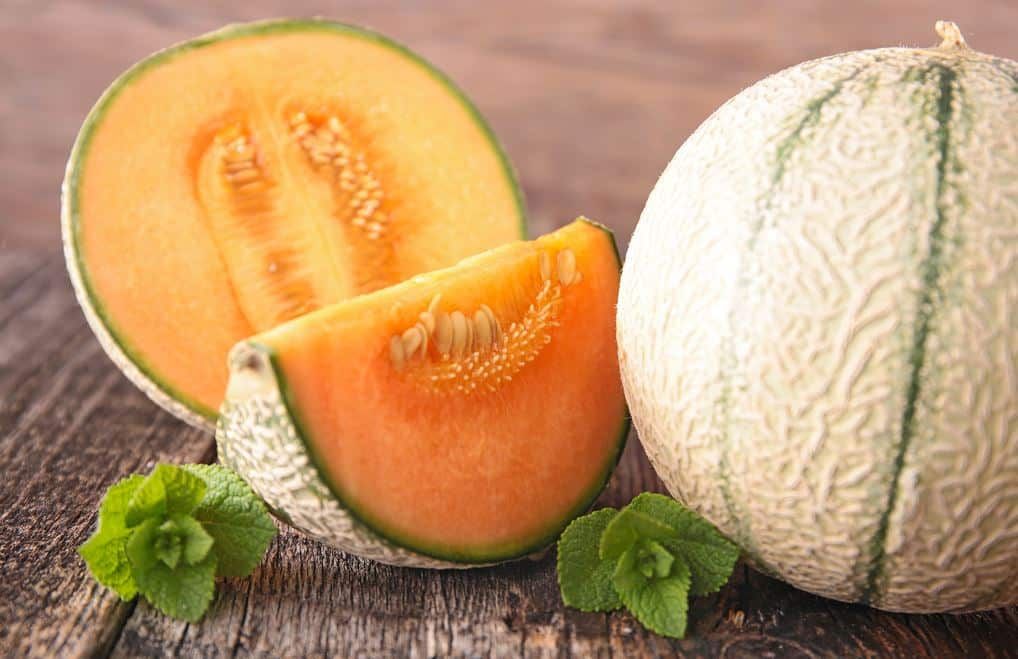 9 astuces incontournables pour choisir le melon parfait