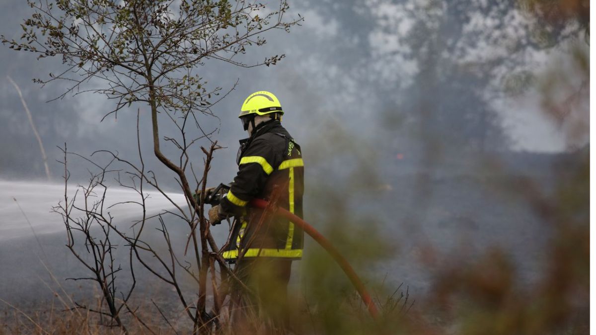 Un incendie dévastateur ravage 47 hectares à Rouziers-de-Touraine