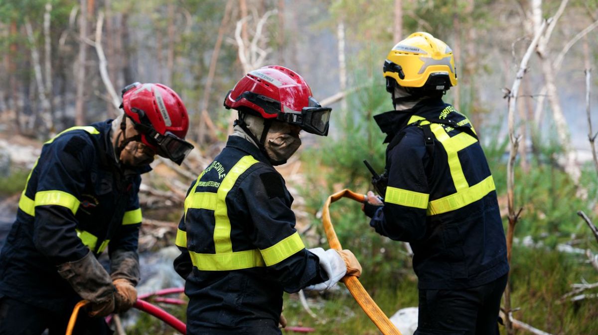 Fontainebleau : les flammes sous contrôle, enquête en cours