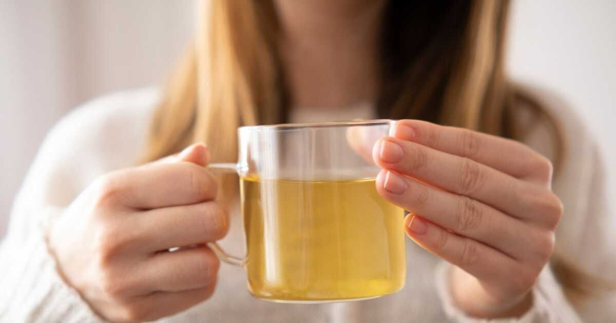 Les secrets cachés de la tisane de camomille : attention aux contre-indications